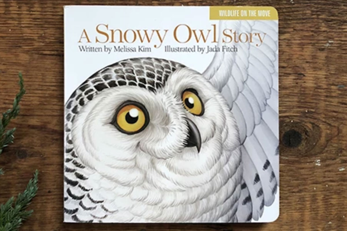 A Snowy Owl Story, book