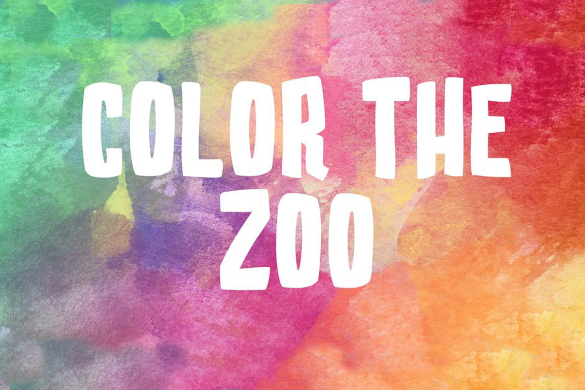 Color the Zoo