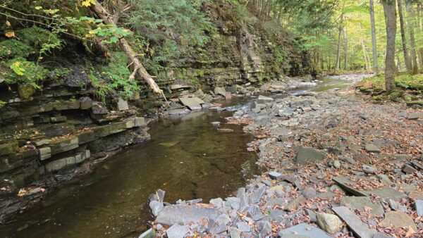 stream with rocks