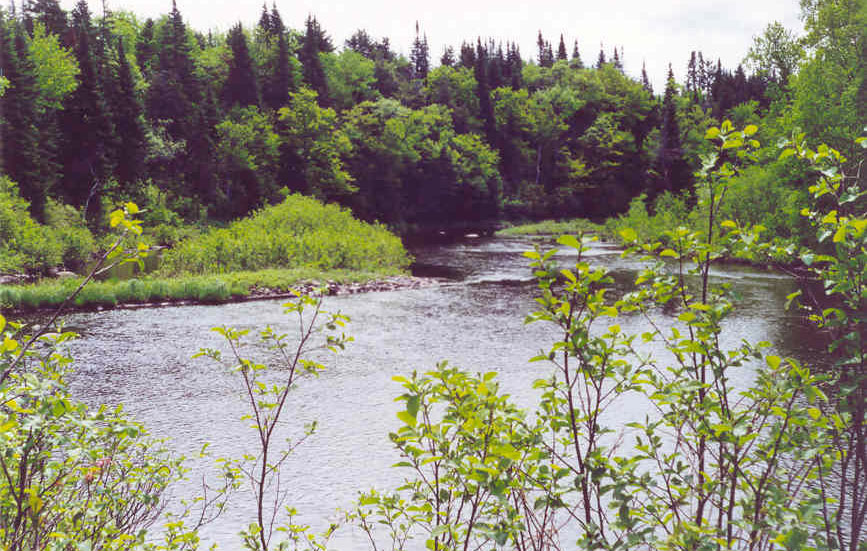East Branch of Fish Creek Service and Weiman Easement