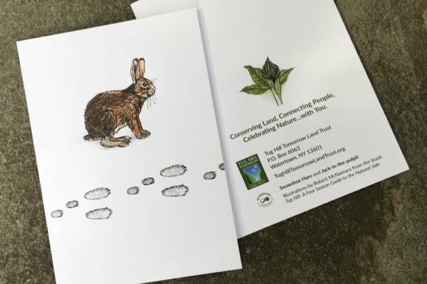 Illustrations of hare by Bob McNamara