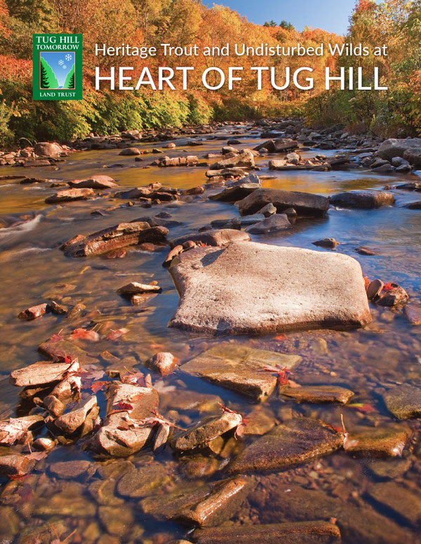 fall view of a Tug Hill region river