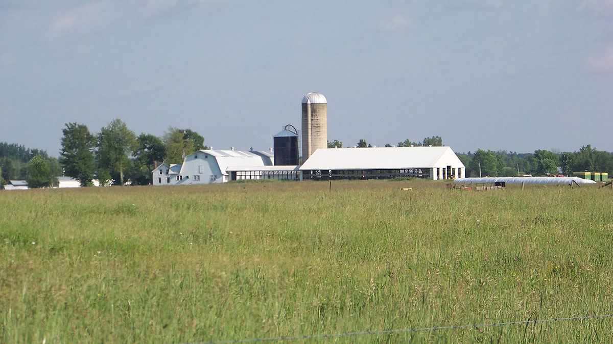 Horton Farm