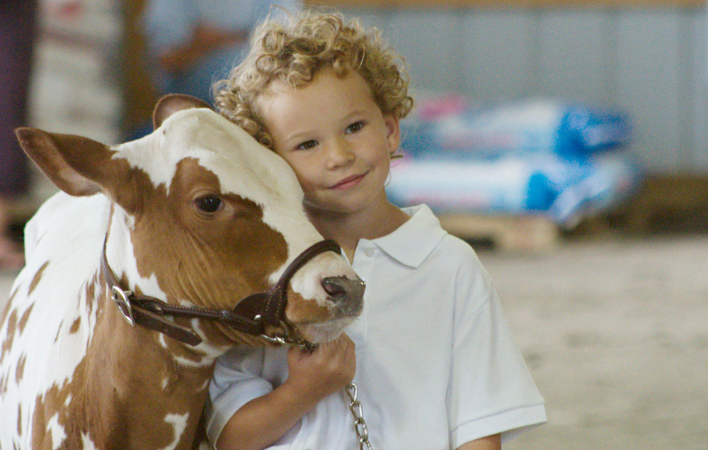 A yong boy with his cow at the Fair in Boonville