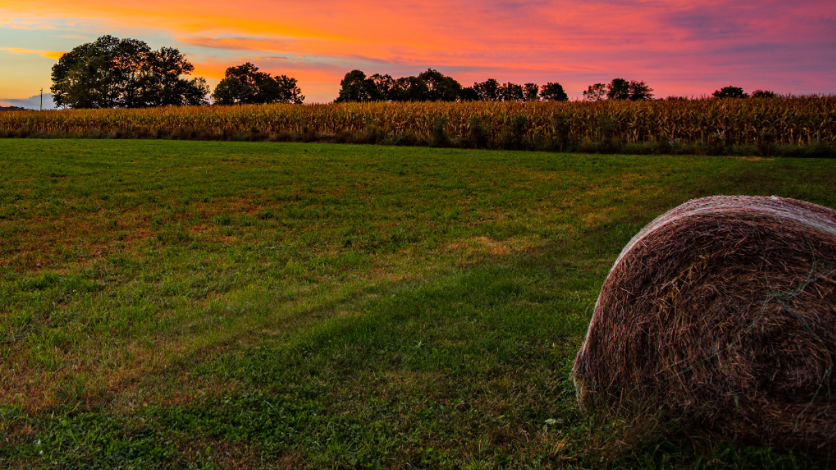 Sunset on a farm
