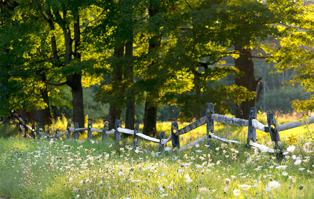 meadow on Partridge Hill Road