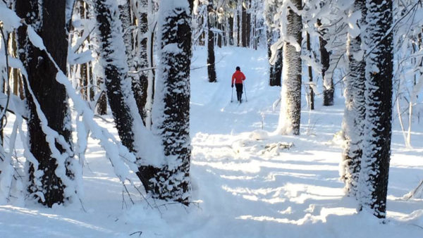 Rodman Barnes Corners XC Ski trails