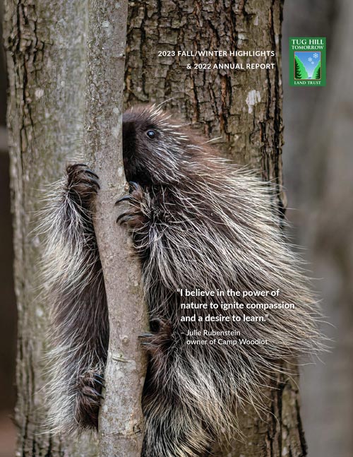 cover with porcupine climbing a tree