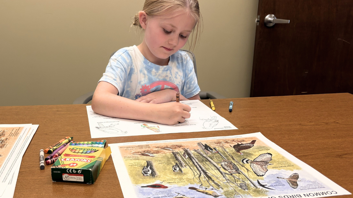 young girl coloring a tug hill bird placemat