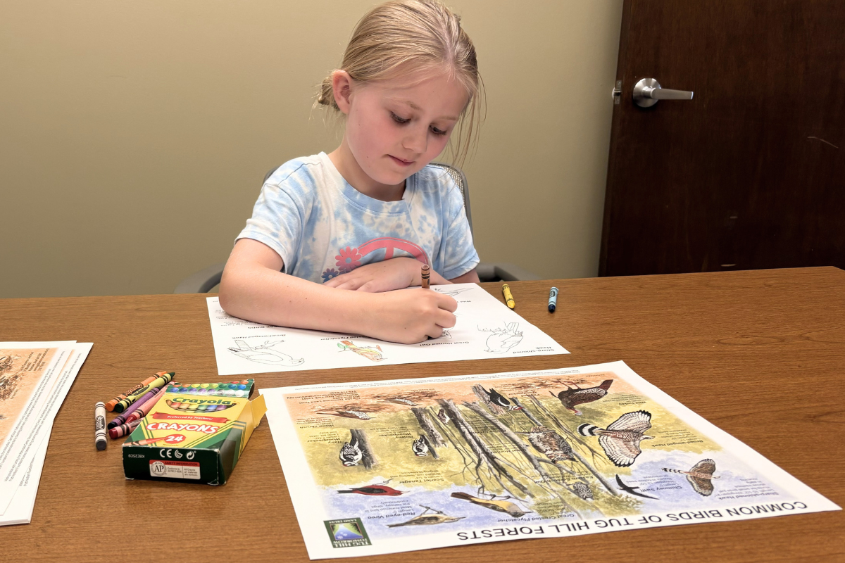 young girl coloring a tug hill bird placemat