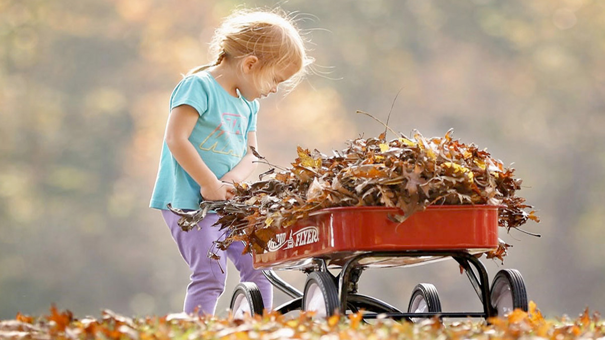 fall leaves fill the wagon